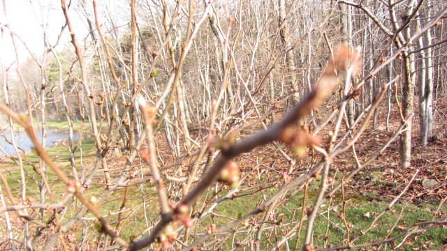 b0247153_0443027.jpg