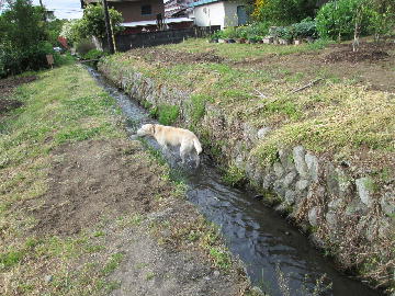 ４月１９日　（金）_f0014756_15571491.jpg