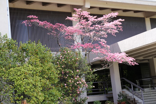 b0242358_23562353.jpg