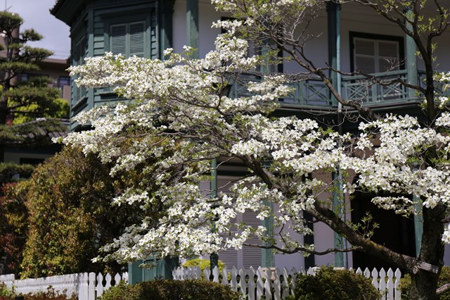 b0242358_2356552.jpg