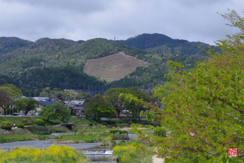 ブーケトス_a0157263_15353961.jpg