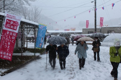 ２０１３．４月　滝桜・雪　（4/21）_e0170863_2052285.jpg