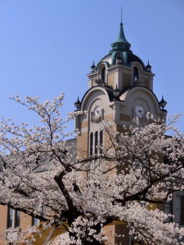 福島へ桜めぐりの旅 ～ その２、郡山編_e0045768_20384128.jpg