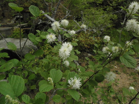 b0208981_7424478.jpg