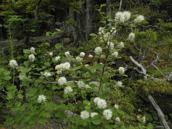 b0208981_742598.jpg