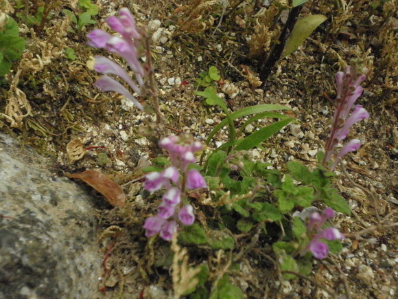 b0208981_745827.jpg