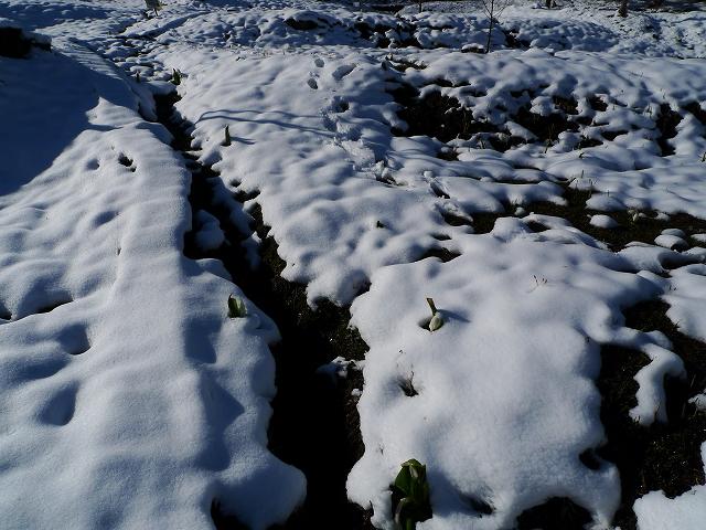 c0212083_22433673.jpg
