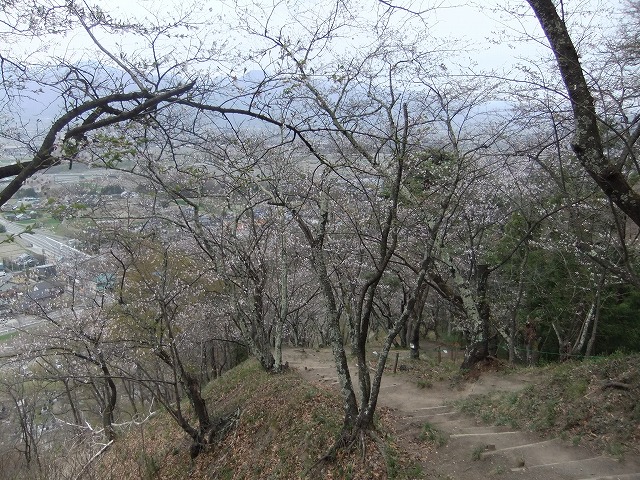 b0112186_1653456.jpg