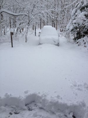 臨時休業のご案内_d0028589_7335750.jpg