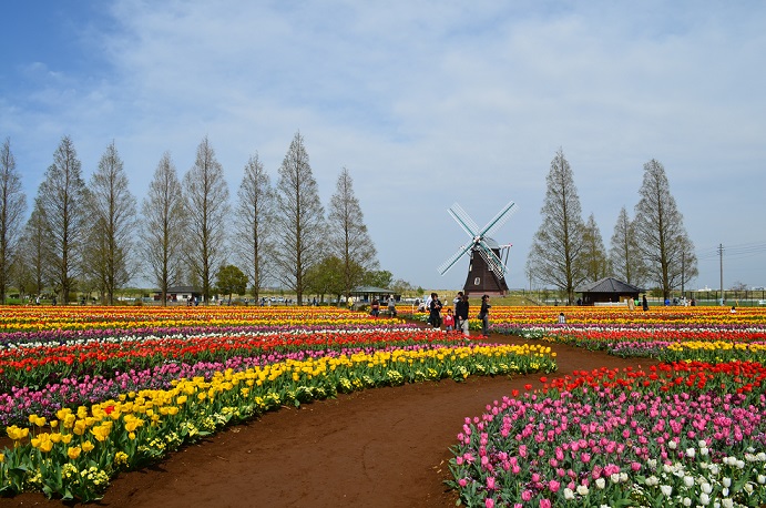 a0275900_12264889.jpg