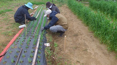e0270403_15545447.jpg