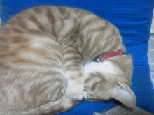 c0048004_9261110.jpg
