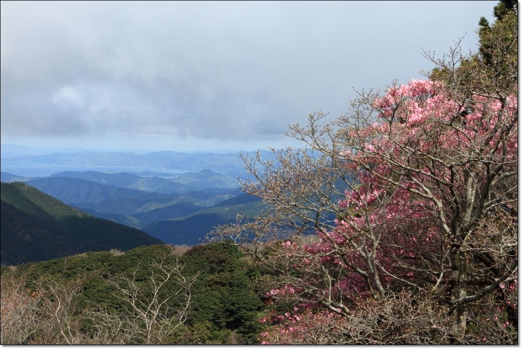 篠山　「不入の森]_a0057905_0142285.jpg