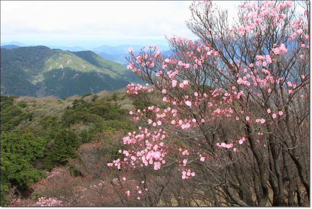 篠山　「不入の森]_a0057905_0202028.jpg