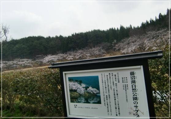 d0143705_21204100.jpg