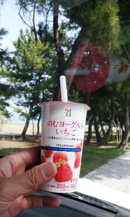 2013 春イカエギング 第2章 ~敦賀にちょい釣り~_f0163105_21274752.jpg