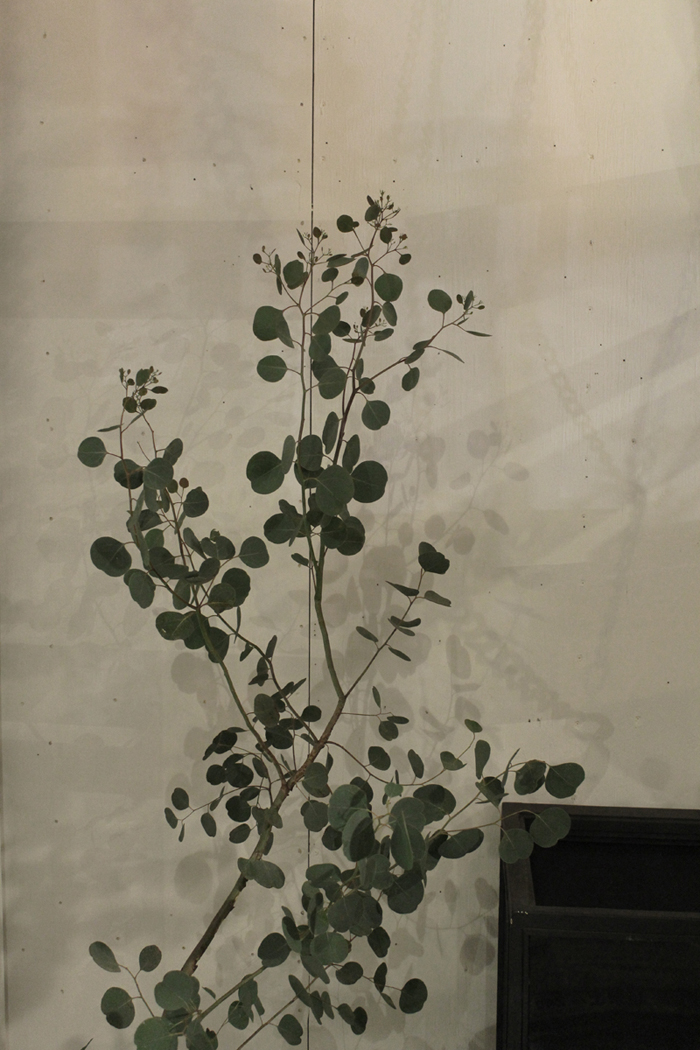 f0192906_0142473.jpg