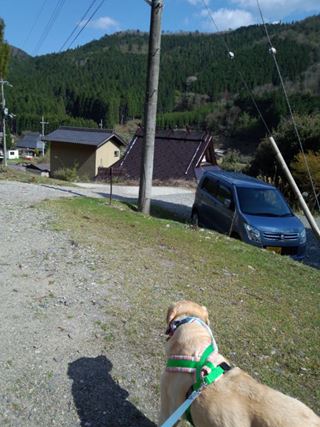 c0114121_22233744.jpg