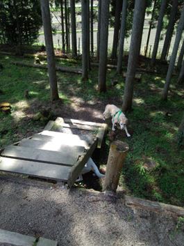 c0114121_22491186.jpg