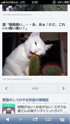TBSテレビ「すっぴん」にてすっぴんを披露!!_a0209330_10524020.jpg