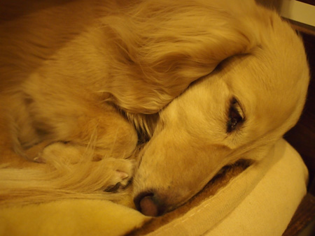 c0117831_2037279.jpg