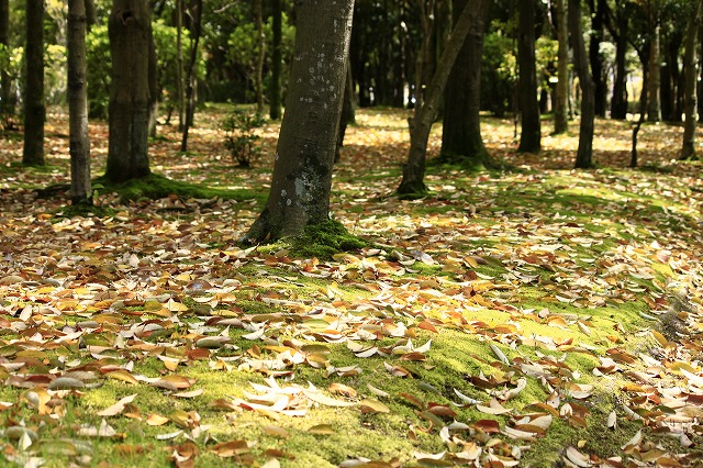 a0045932_20473710.jpg