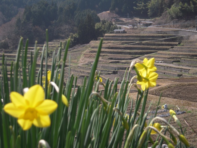 恵那の旅　恵那峡と坂折の棚田_b0025633_2143424.jpg