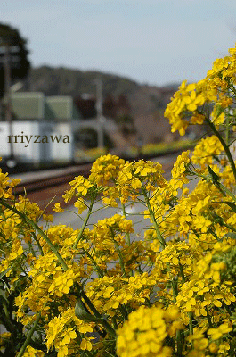a0143435_10212012.gif