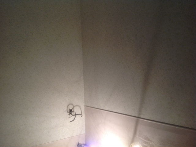 1ヵ月を経て・・・・_f0031037_21512489.jpg