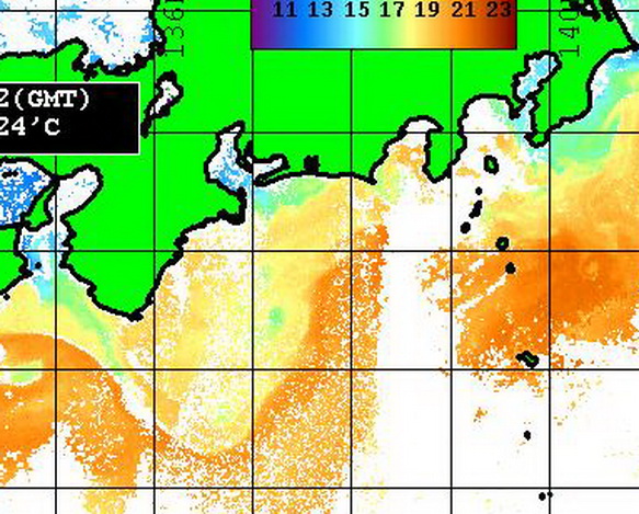 潮岬の黒潮は沿岸を離れて、　伊豆諸島にあたった潮は・・・・【カジキ・マグロ トローリング】_f0009039_16354281.jpg