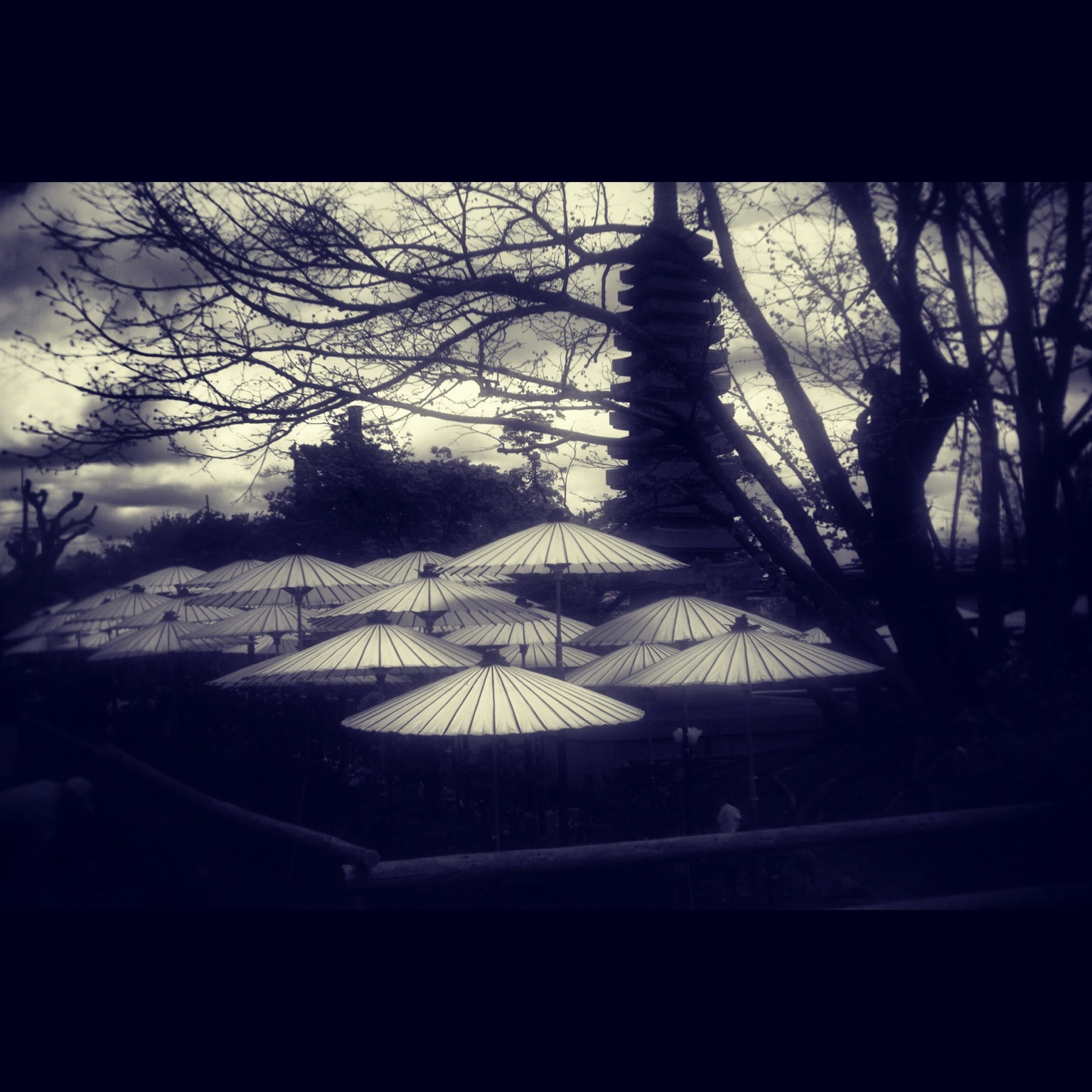乙訓寺_e0144041_16342840.jpg