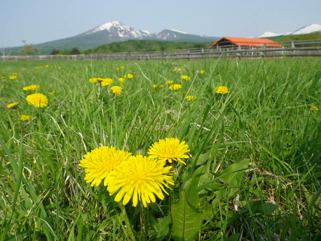 定休日だけど!_b0207642_2104258.jpg