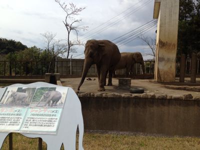 日本平動物園_a0036544_2152090.jpg