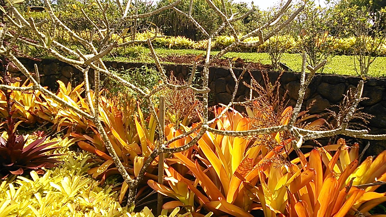 f0188652_182552100.jpg