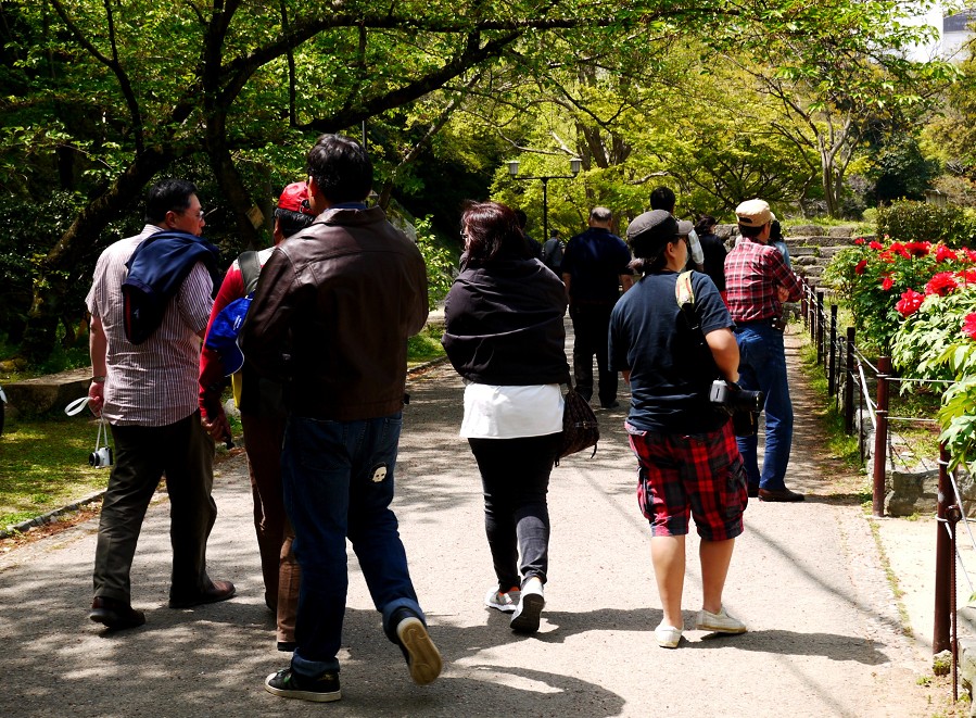 　　和歌山城公園にて　　１２年前、２０１３年４月撮影_b0093754_2225584.jpg
