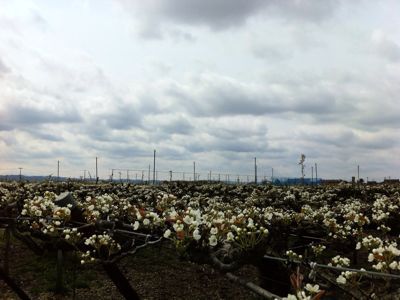 b0204354_13199.jpg