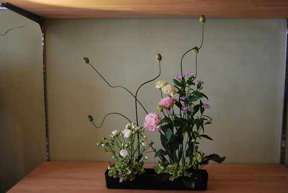 a0201358_18485199.jpg