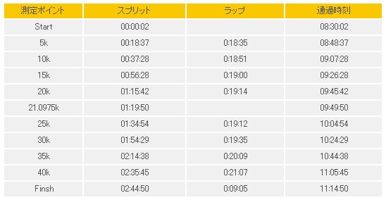 第15回　長野マラソン　2013_f0035460_1950453.jpg