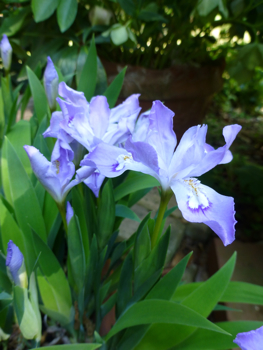 c0040472_20102330.jpg