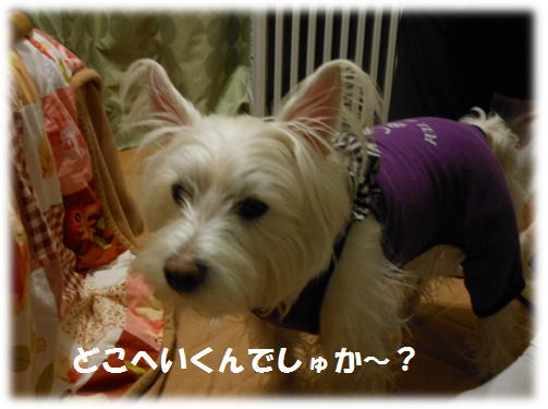 b0242873_043517.png