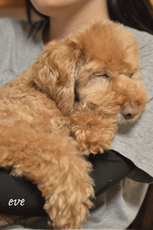 b0243873_20231491.gif