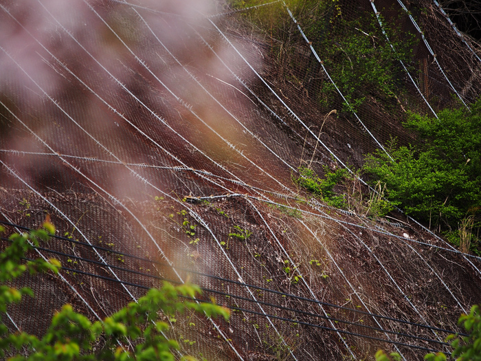 天城峠~山肌染めし~_a0161380_10234185.jpg
