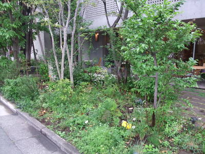 \'Keyaki Garden \' du printemps 2013！_b0167282_2317213.jpg