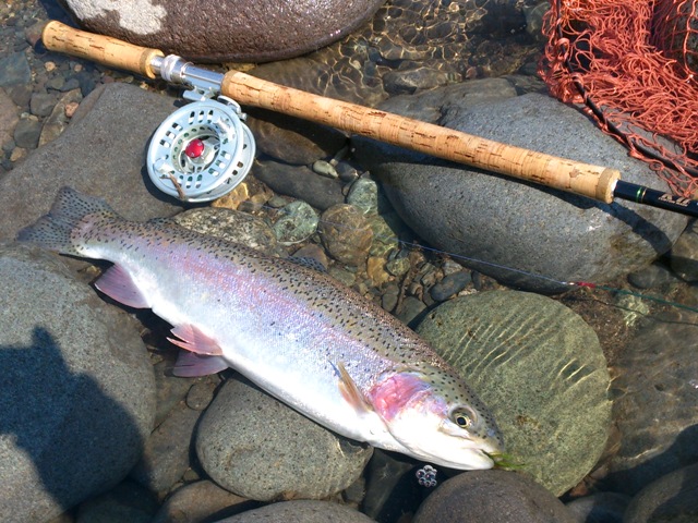 c0157482_21561668.jpg