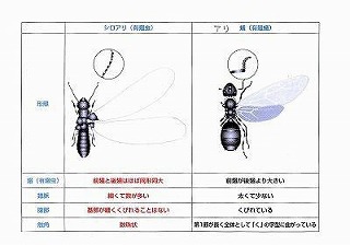 「土間」と床下空間_f0059988_11225917.jpg