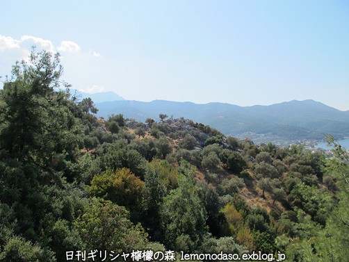 c0010496_7392268.jpg