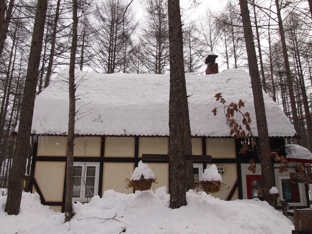 そろそろ春を告げる「屋根からの落雪」がありそうです!_f0276498_19114033.jpg