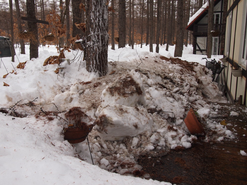 そろそろ春を告げる「屋根からの落雪」がありそうです!_f0276498_19224698.jpg