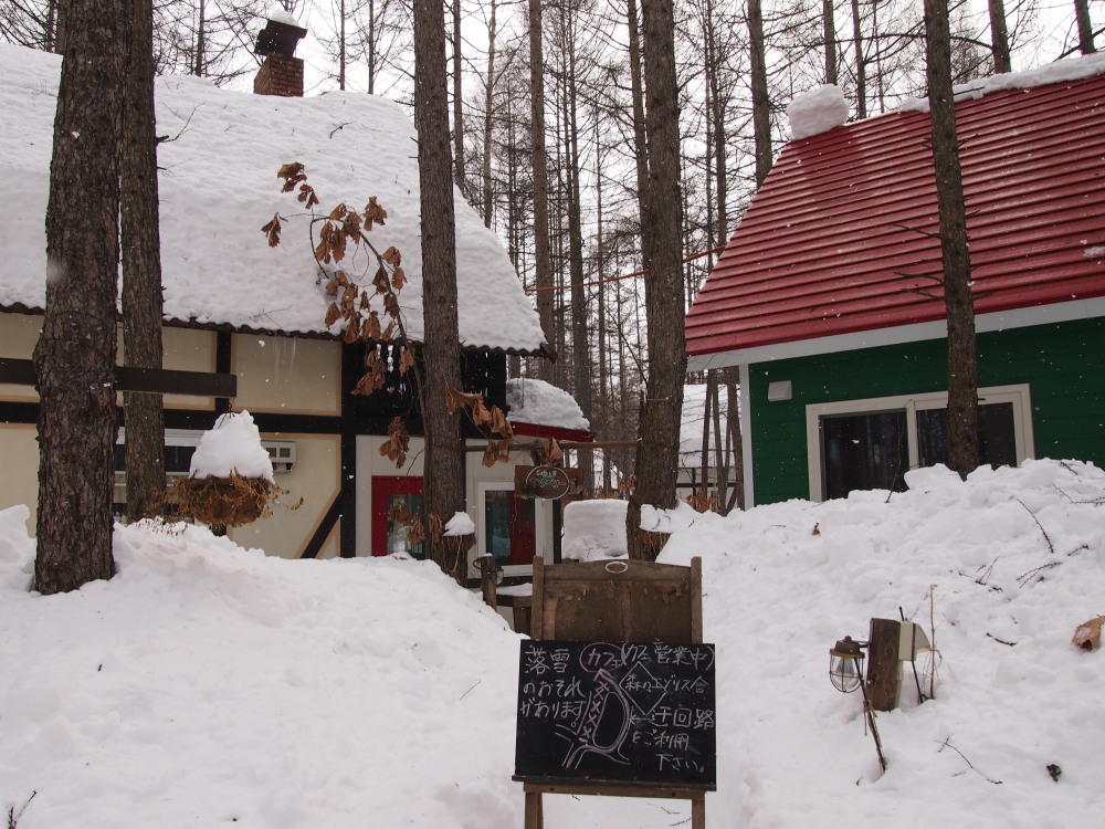 そろそろ春を告げる「屋根からの落雪」がありそうです!_f0276498_1995224.jpg