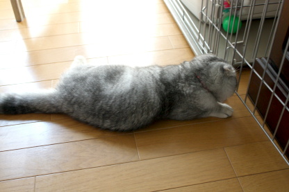 模様替え。。_c0178104_10244749.jpg